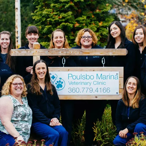 Poulsbo Marina Veterinary Clinic is posing for a group photo outside and next to their clinic's sign.  There's eleven women in the picture. 